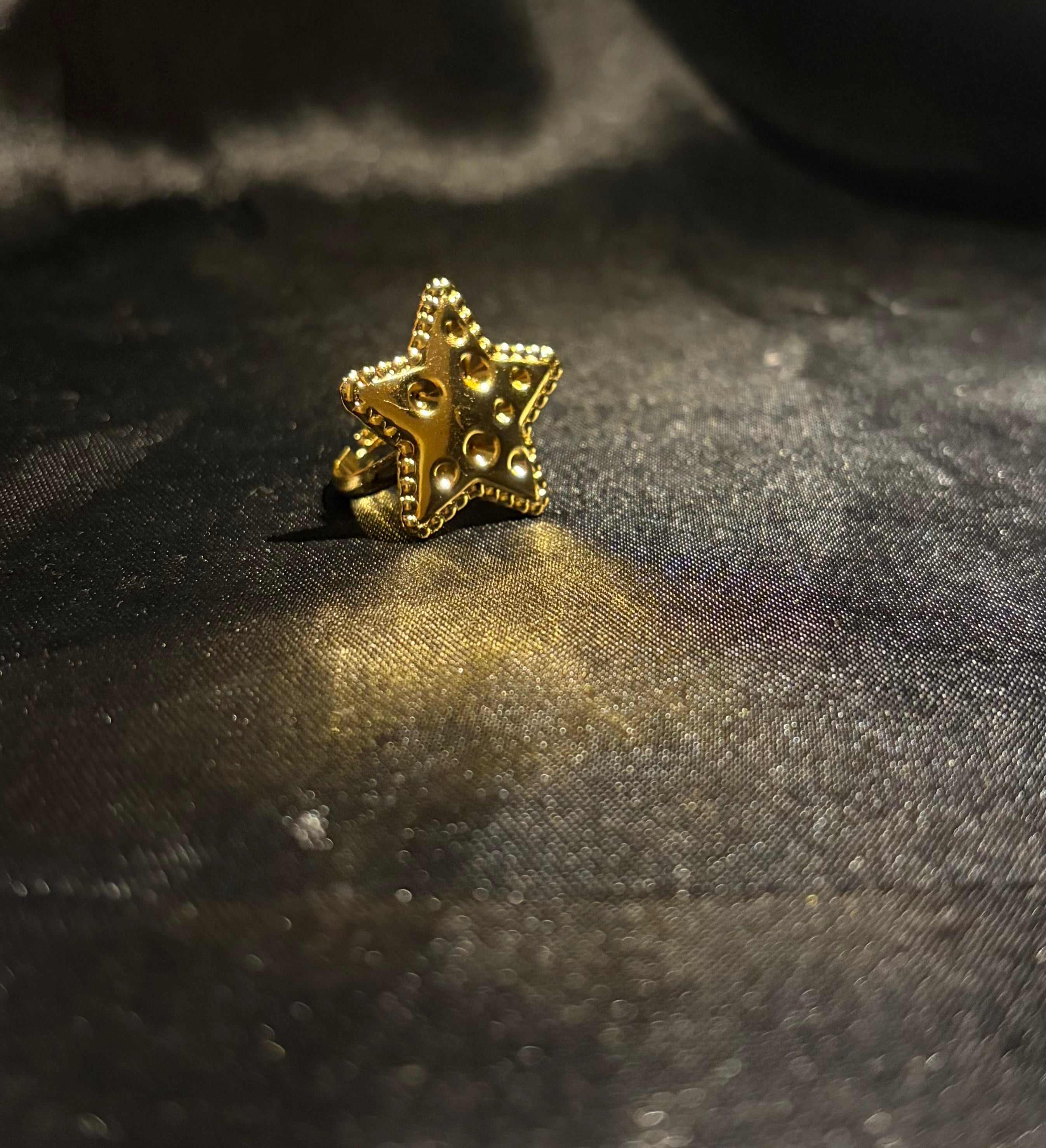 Anti-tarnish Ring (adjustable)