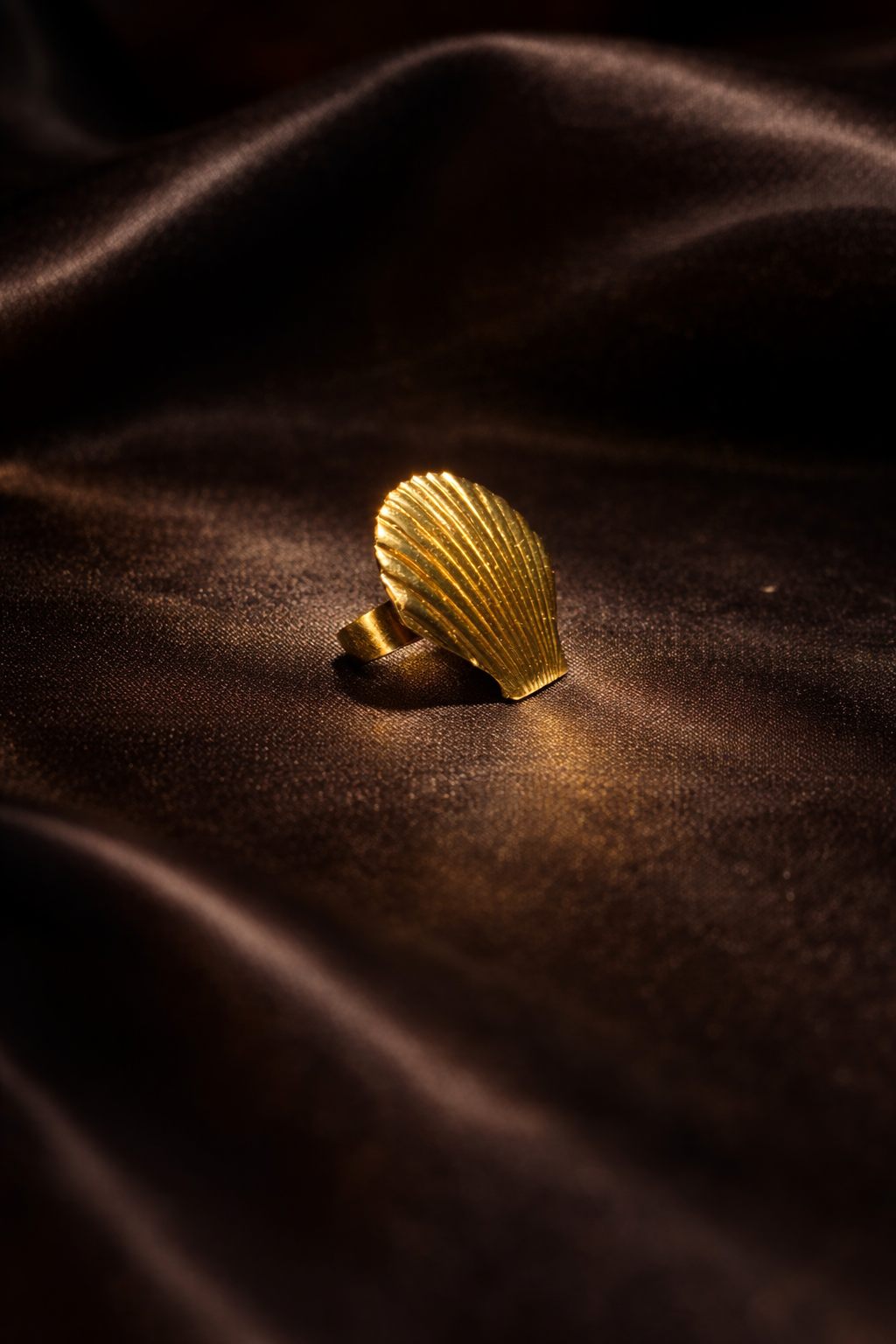 Anti-tarnish Ring (adjustable)