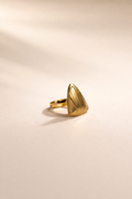 Anti-tarnish Ring (adjustable)