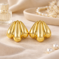 Anti tarnish earrings